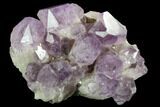 Wide Amethyst Crystal Cluster - Large Points #127155-1
